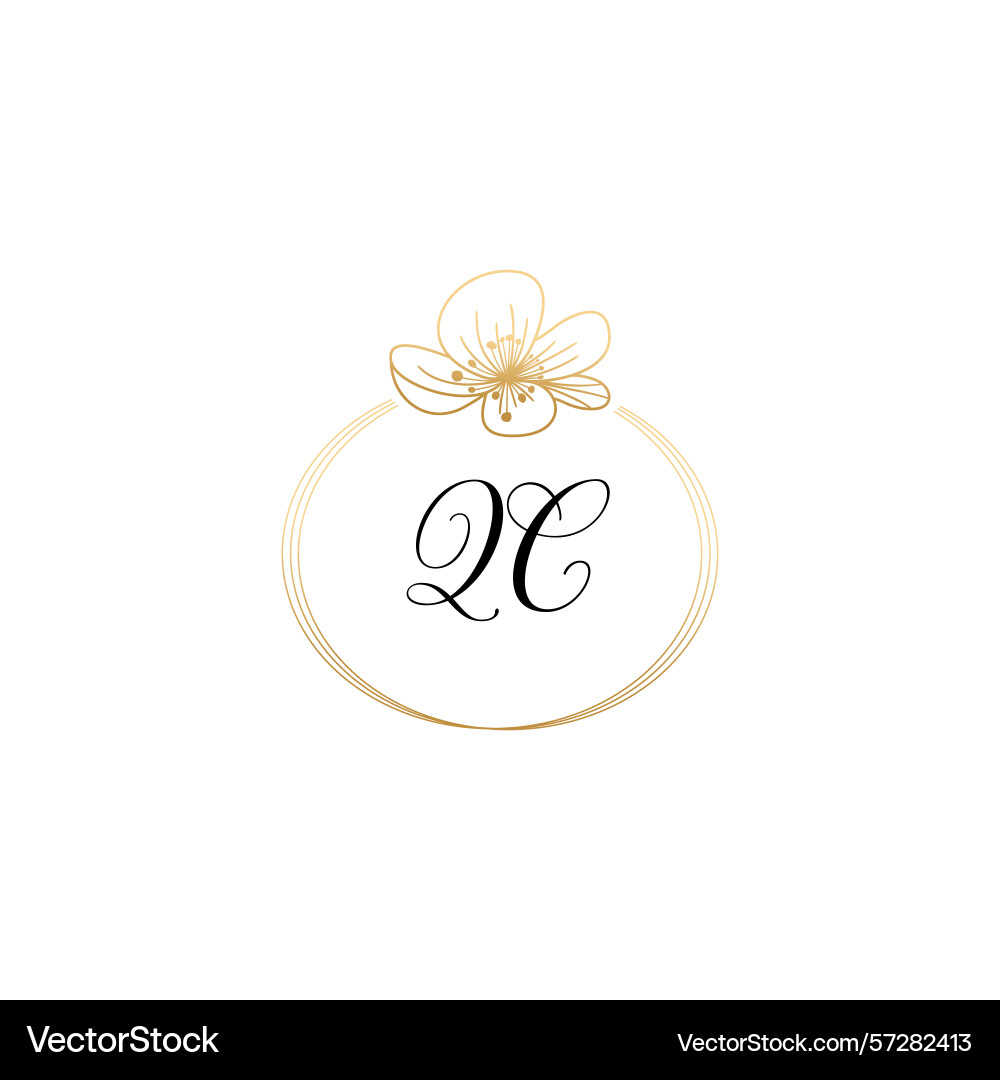 Botanical monogram logos with initial qc Vector Image