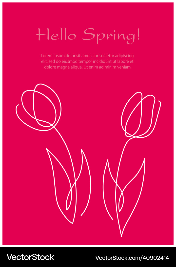 Springtime background with simple tulip drawings Springtime background with simple tulip drawings vector image