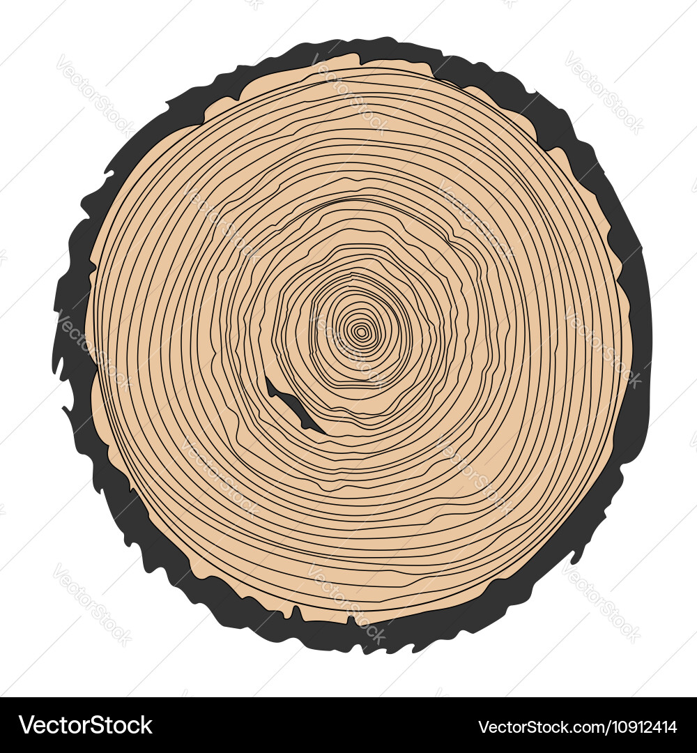 Tree Rings Circular Pattern vector image