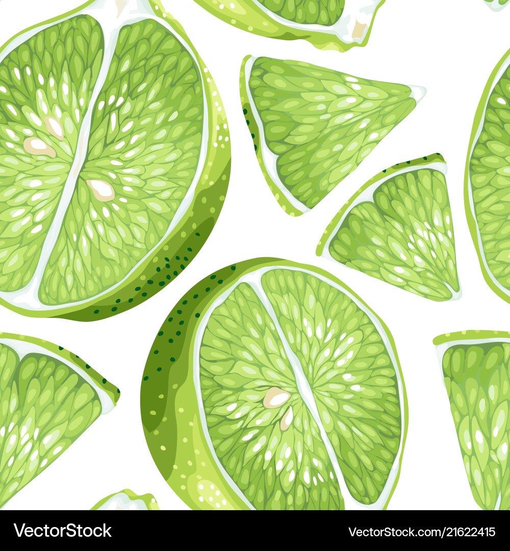 Lime slices in seamless realistic pattern Lime slices in seamless realistic pattern vector image