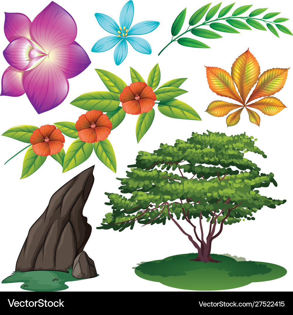 Set isolated objects theme nature Set isolated objects theme nature Vector Image