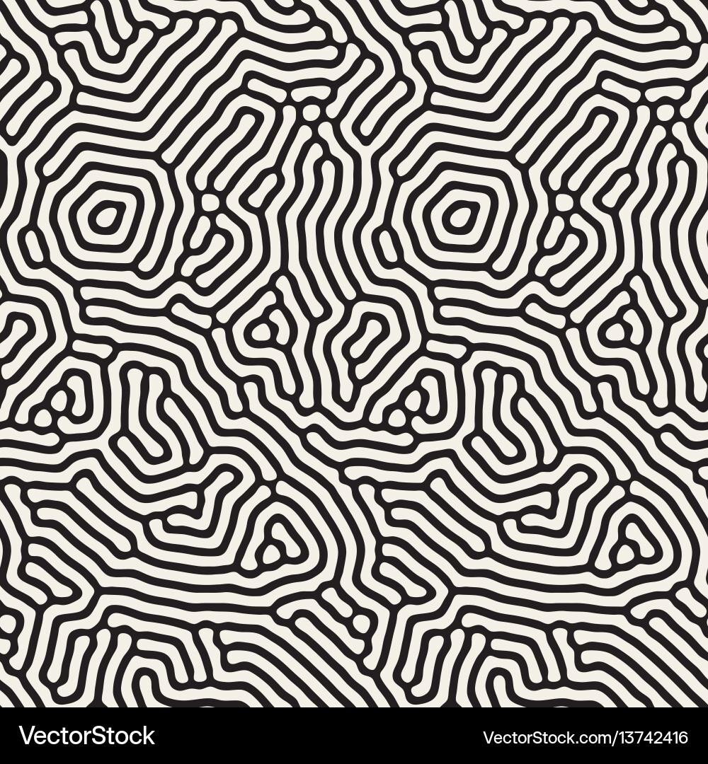 Chaotic Rounded Line Pattern vector image