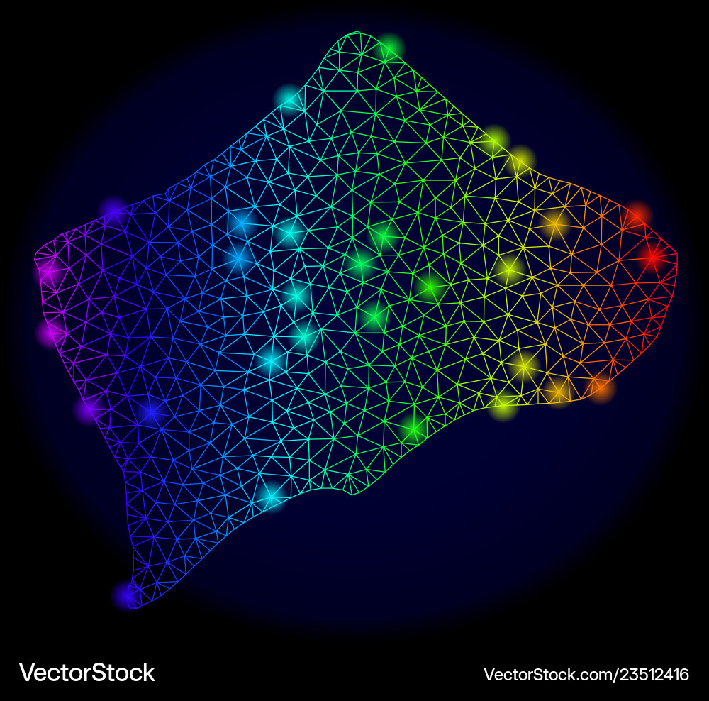 Polygonal network colorful mesh map of small Vector Image