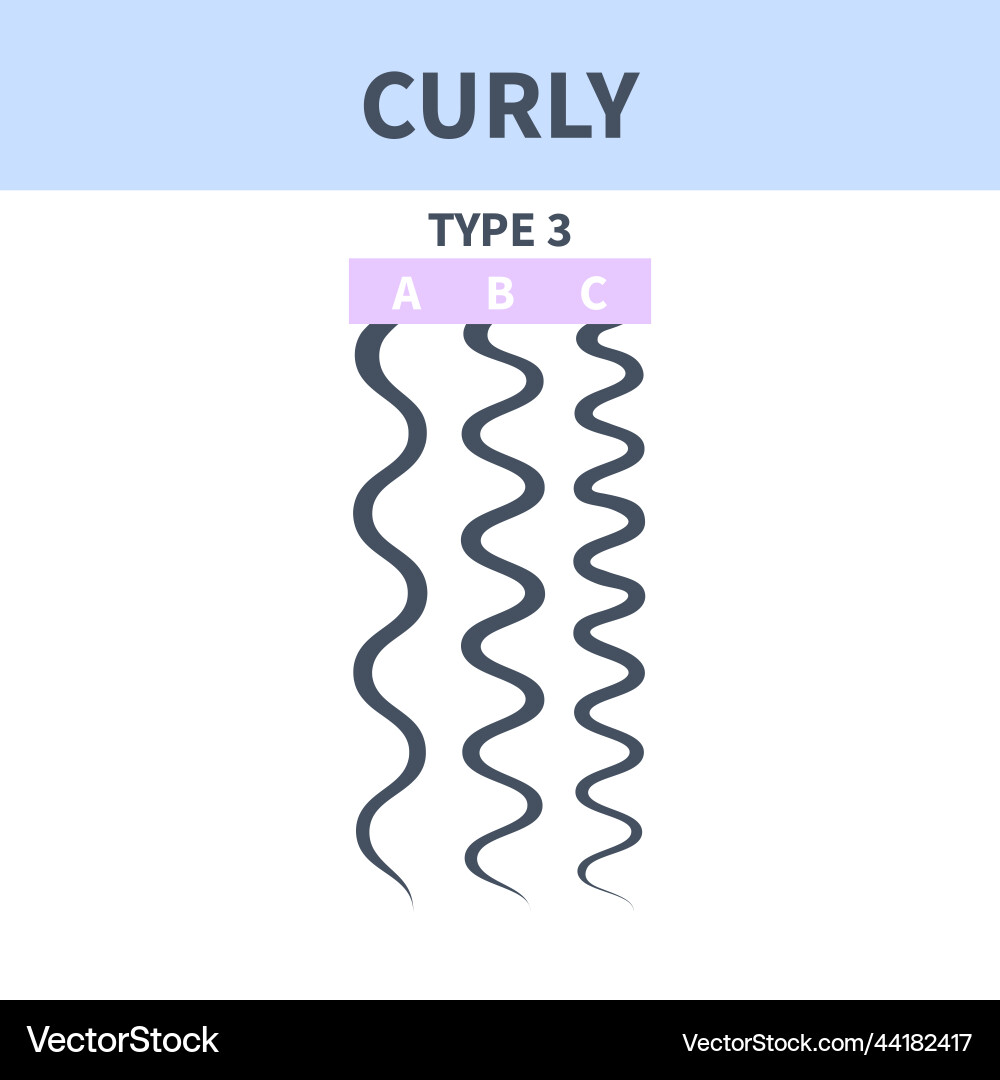 Curly Haartyp Diagramm der Stränge Wachstum Muster Curly Haartyp Diagramm der Stränge Wachstum Muster vektorbild
