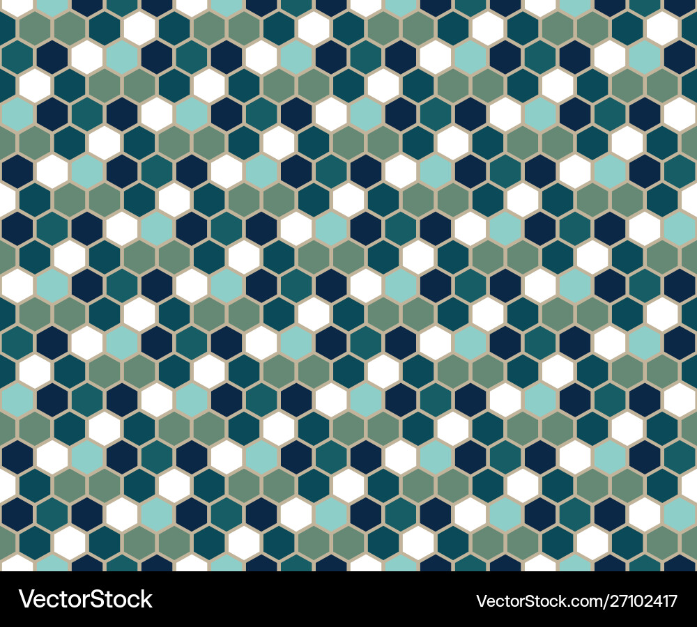 Geometric Hexagon Pattern vector image