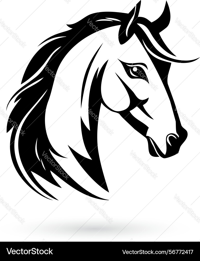 Horse head Horse head Vector Image