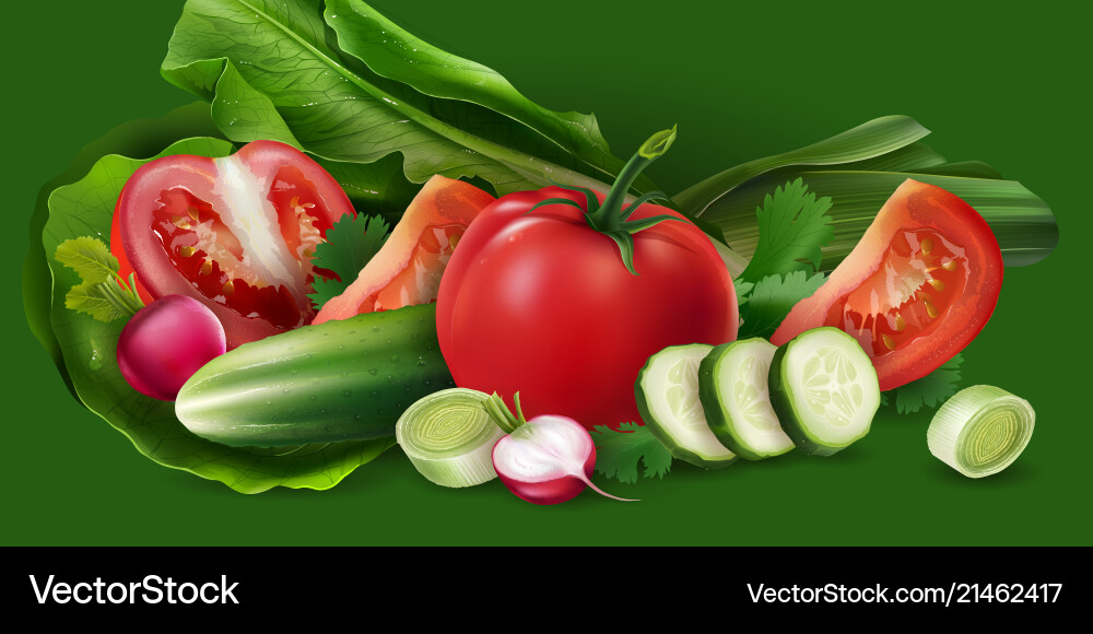 Tomatoes cucumber and salad Tomatoes cucumber and salad vector image