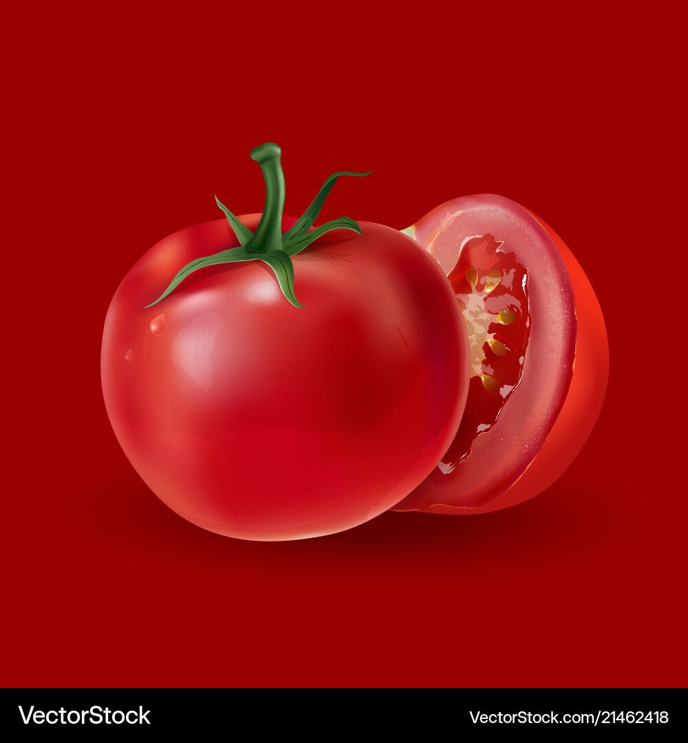 Tomatoes on a red background Vector Image
