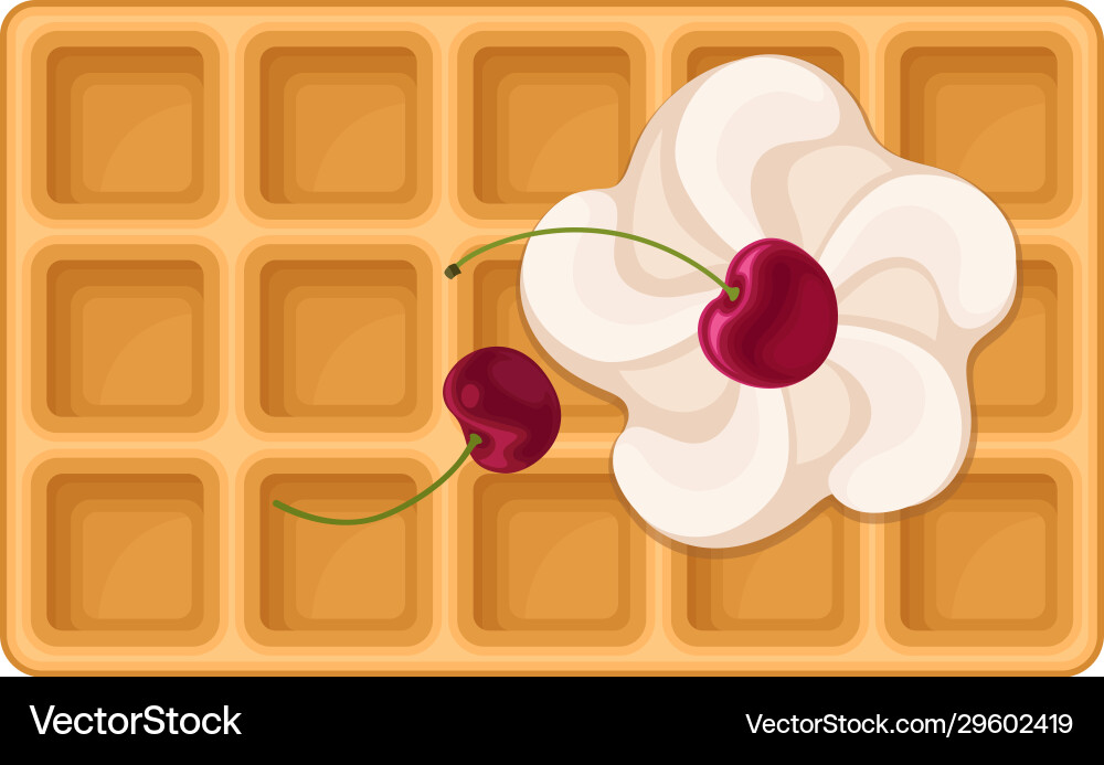Rectangular shaped waffle with textured surface Vector Image