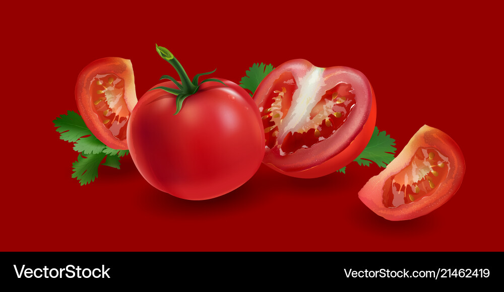 Tomatoes on a red background Tomatoes on a red background vector image