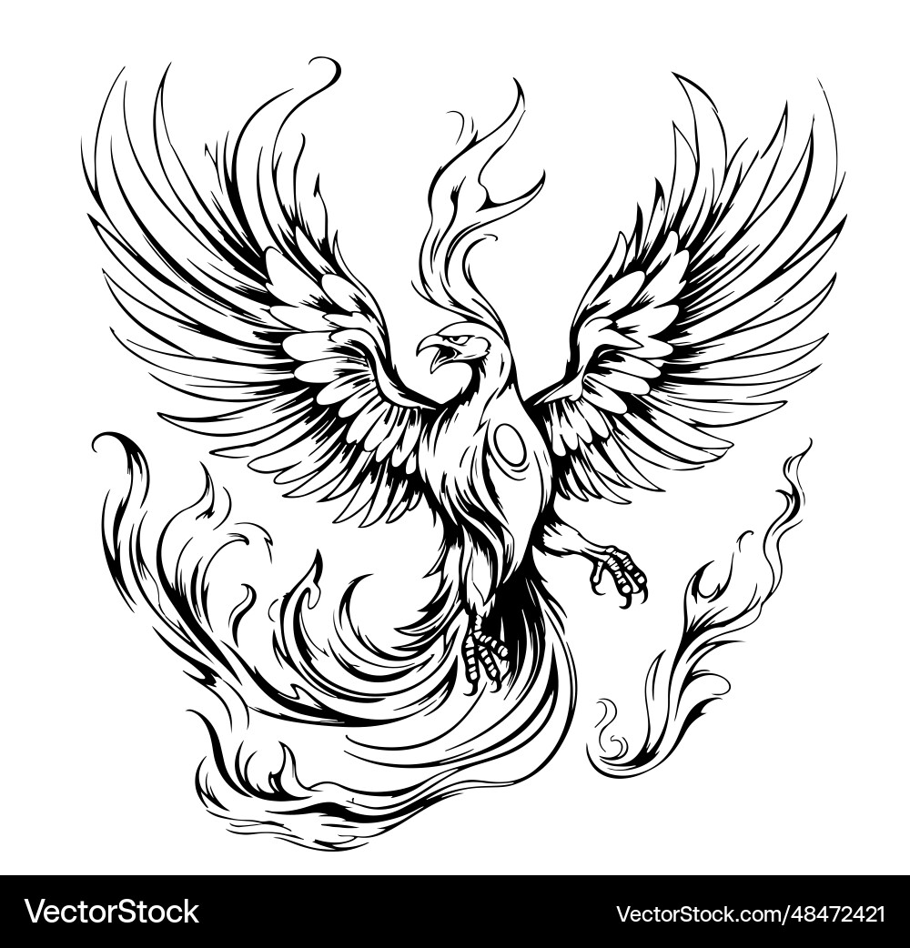 Phönix Hand Zeichnung mythische Vögel Phönix Hand Zeichnung mythische Vögel vektorbild