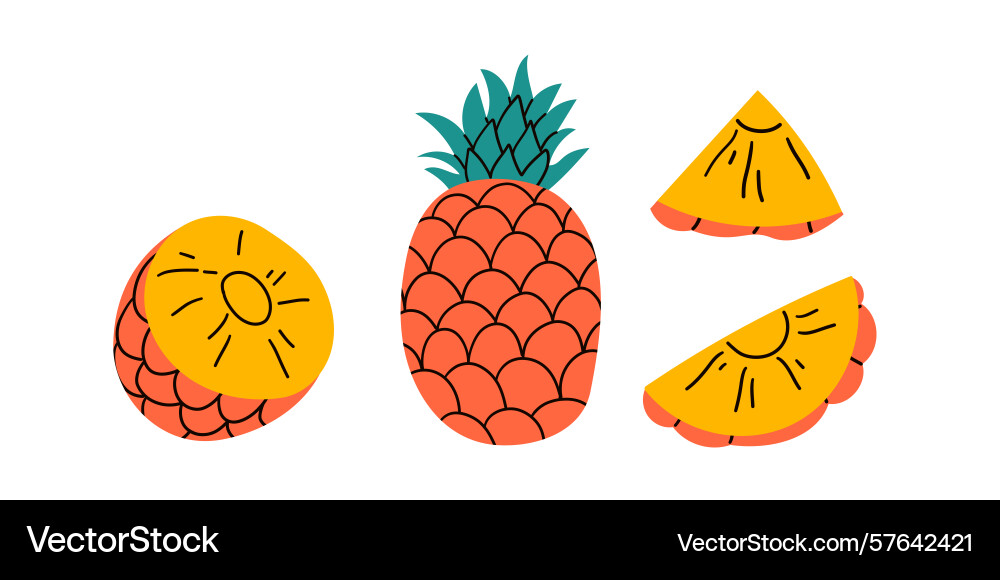 Set of abstract pineapple simple Set of abstract pineapple simple Vector Image