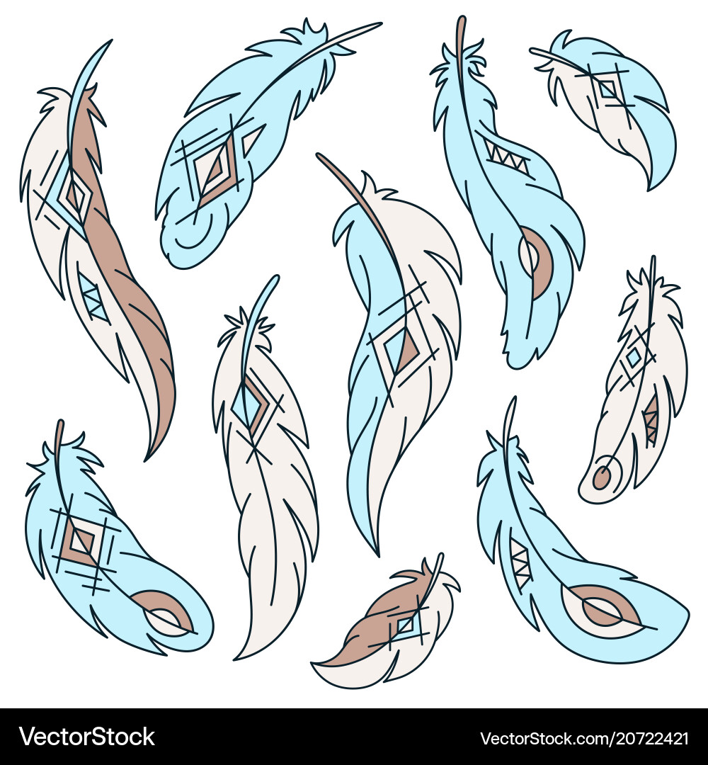 Set of bird feathers with ethnic pattern Set of bird feathers with ethnic pattern vector image