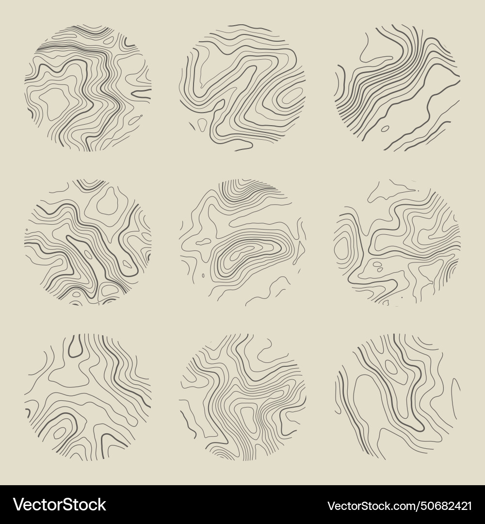 Topographic map with contour lines geographic vector image