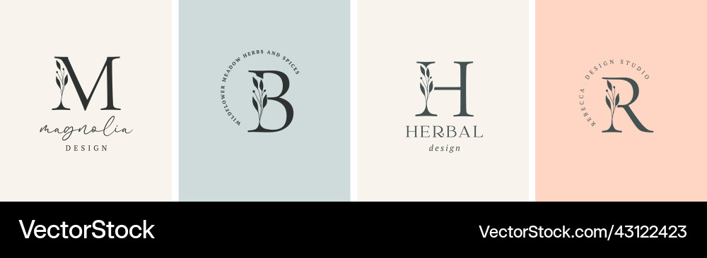 Collection of botanical minimalistic initial Collection of botanical minimalistic initial vector image