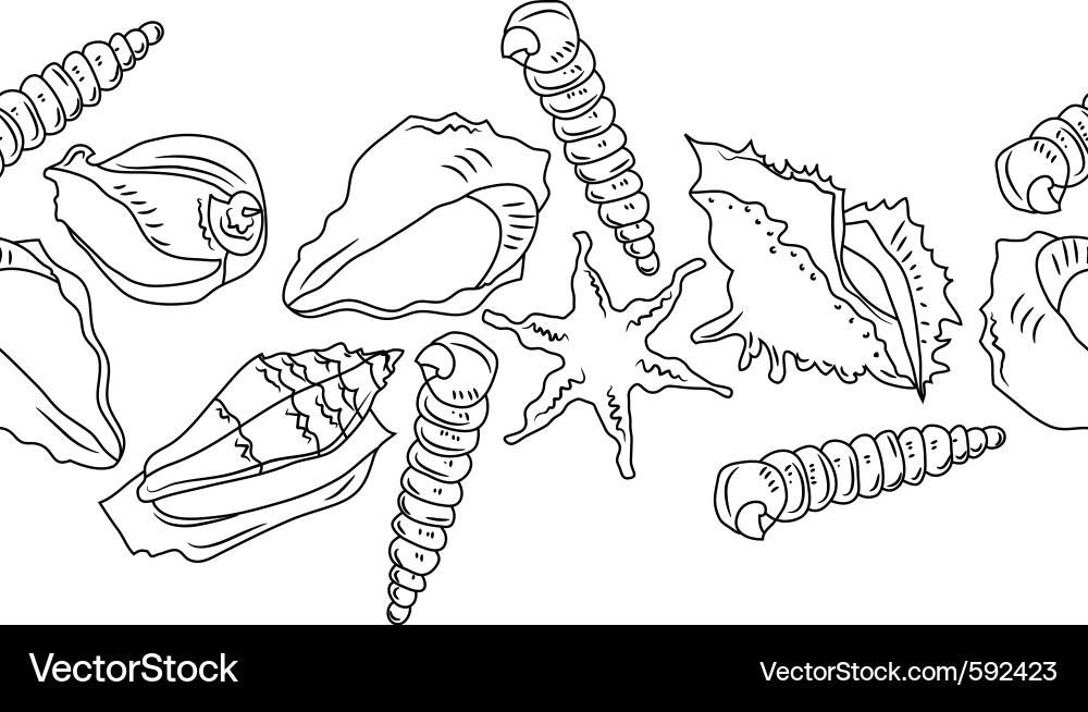 Seashell Ocean Border Vector Image