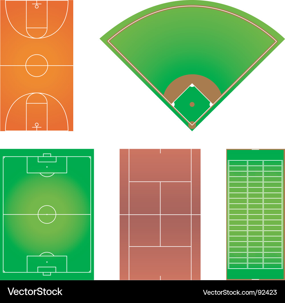 Sport Field Layouts vector image