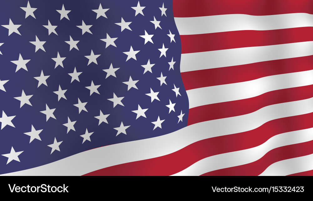 Usa flag background Vector Image