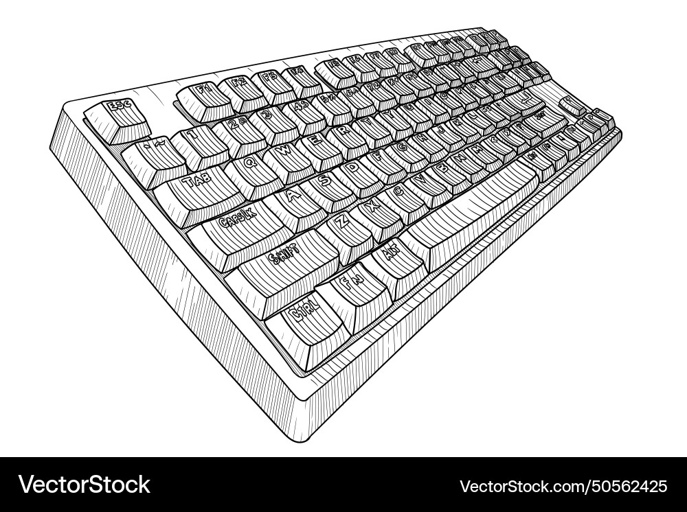 Computer keyboard drawing vector image