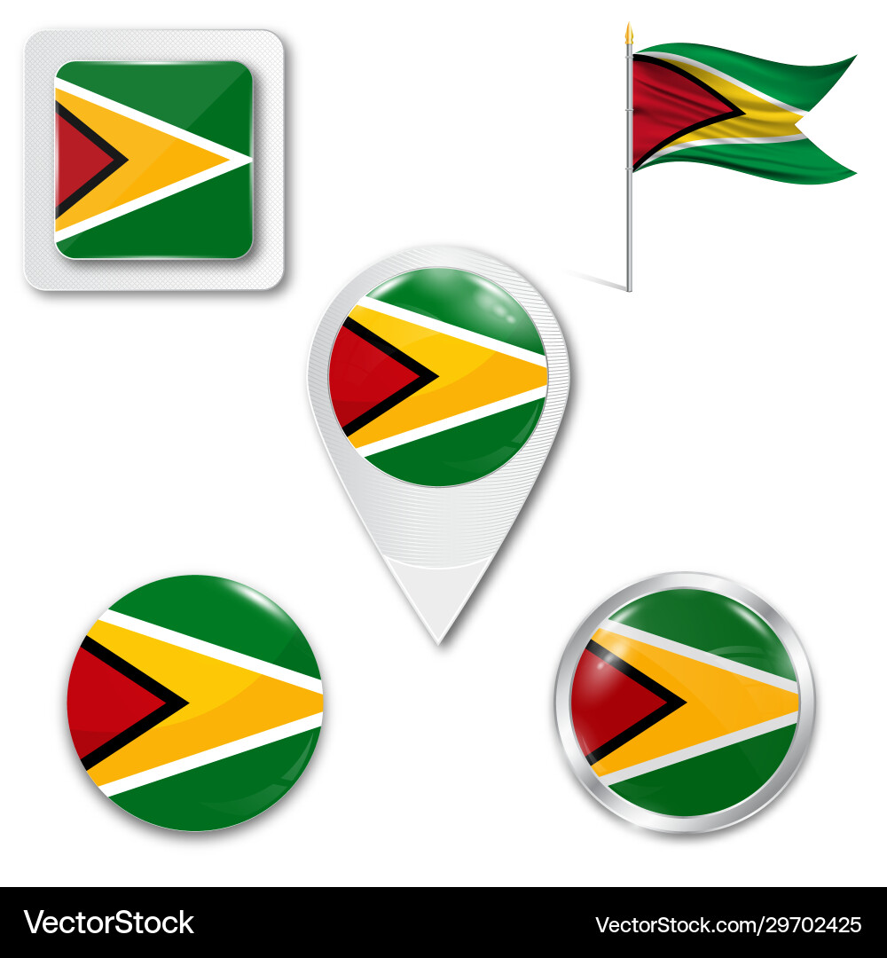 Guyana flag round icon Guyana flag round icon Vector Image