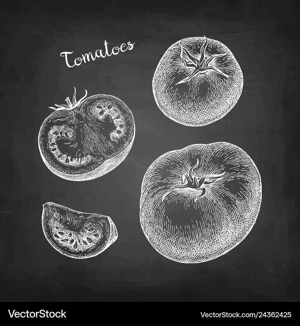Kreide Skizze von Tomaten Kreide Skizze von Tomaten vektorbild