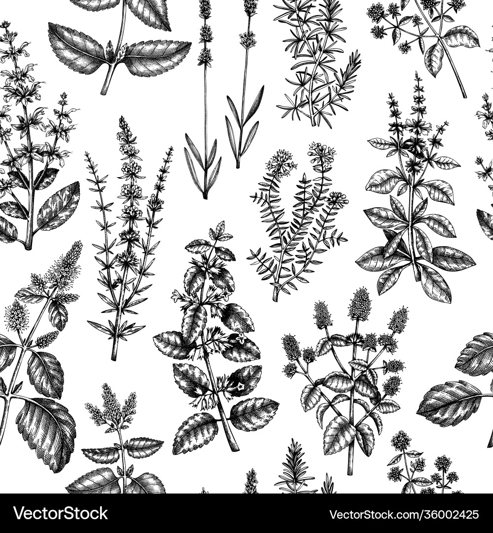 Mints and balms seamless pattern sketched Mints and balms seamless pattern sketched vector image