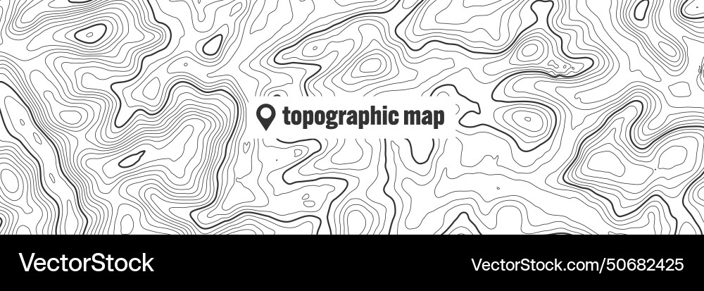 Topographic map with contour lines geographic Topographic map with contour lines geographic vector image