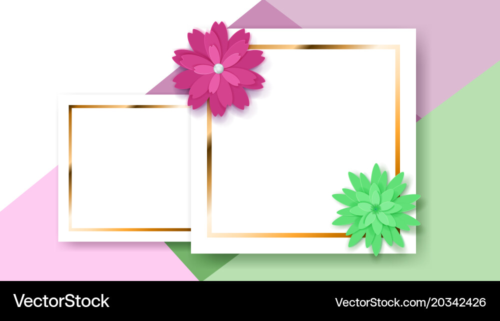 Background with rectangle frames and flowers vector image