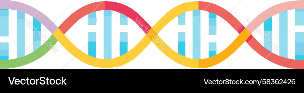 Intricate DNA Helix Patterns Vector Image