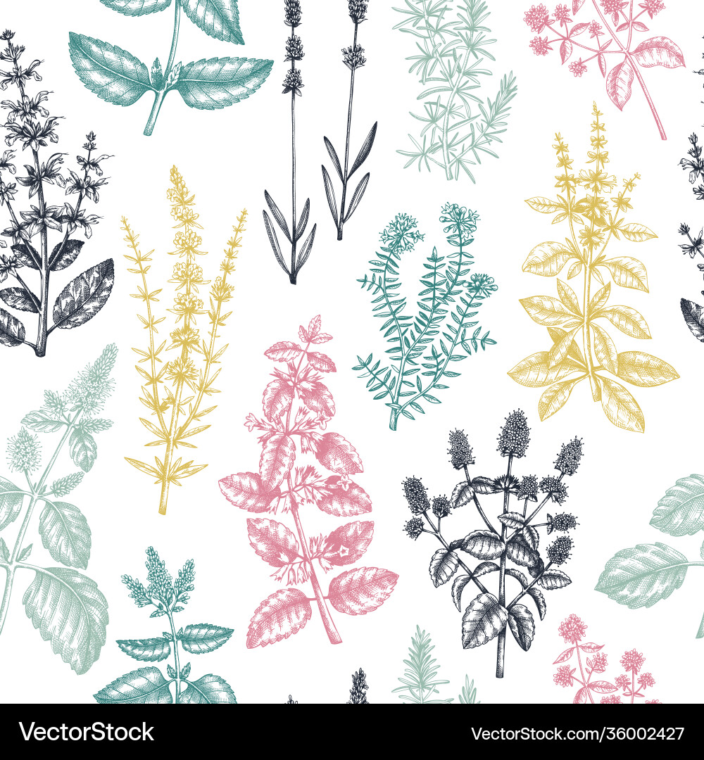 Mints and balms seamless pattern sketched Mints and balms seamless pattern sketched vector image