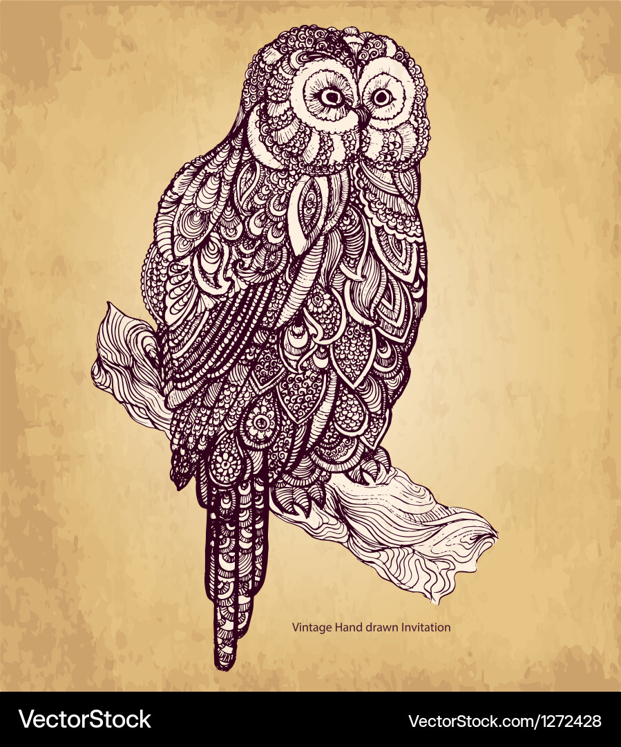 Decorative owl Royalty Free Vector Image - VectorStock