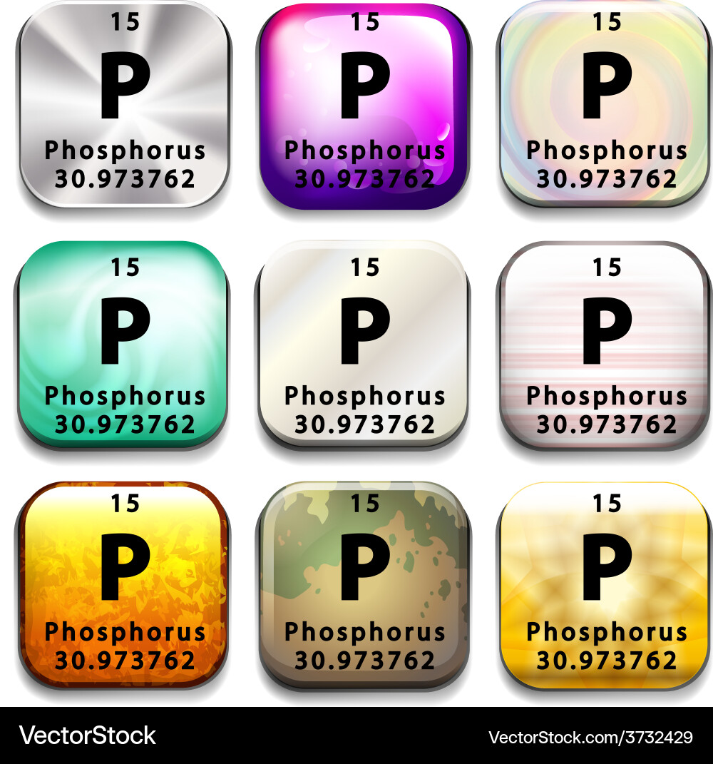 A button showing the element phosphorus Vector Image