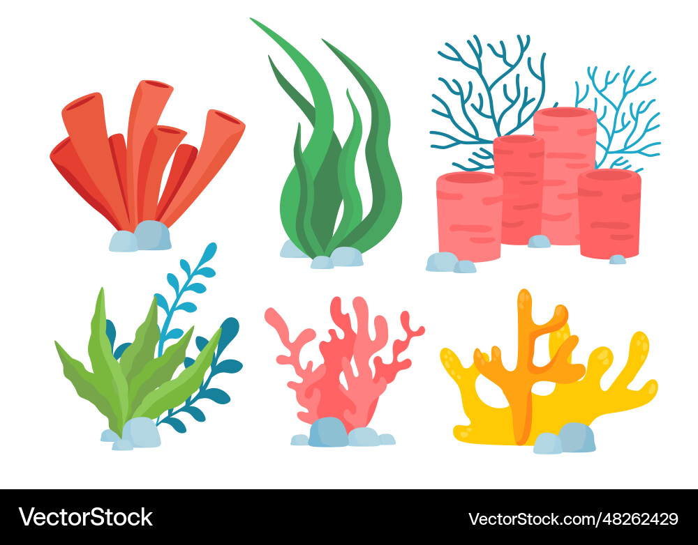 Algae corals set Vector Image