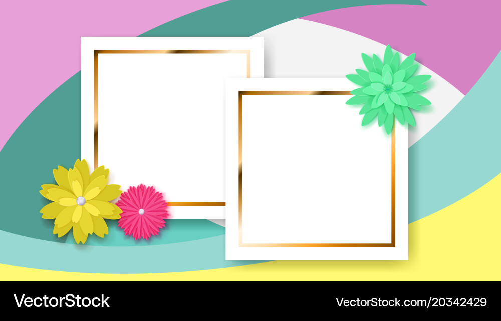 Background with rectangle frames and flowers vector image