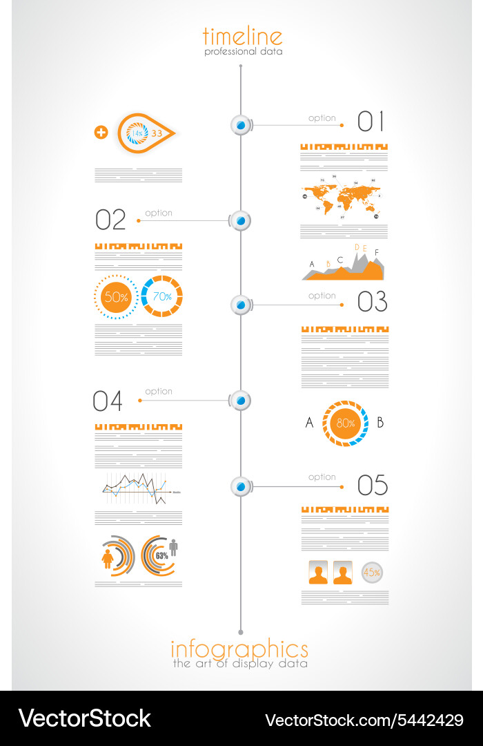Timeline to display your data with infographic Vector Image