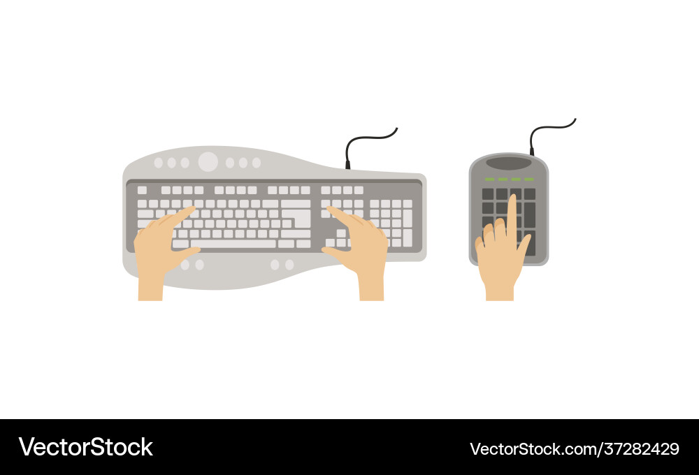 Top view computer keyboard and hands user Top view computer keyboard and hands user vector image