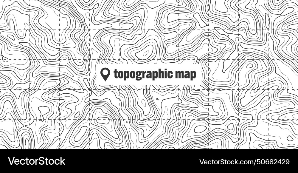 Topographic map with contour lines geographic vector image