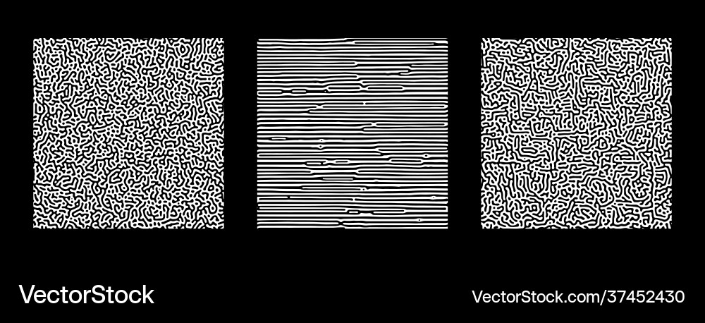 Collection turing abstract seamless pattern Collection turing abstract seamless pattern vector image