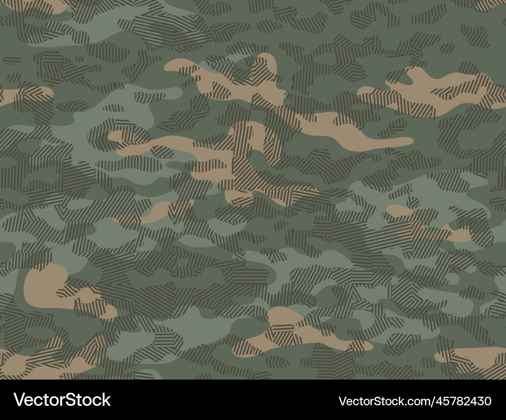 Dynamic Camouflage Pattern vector image