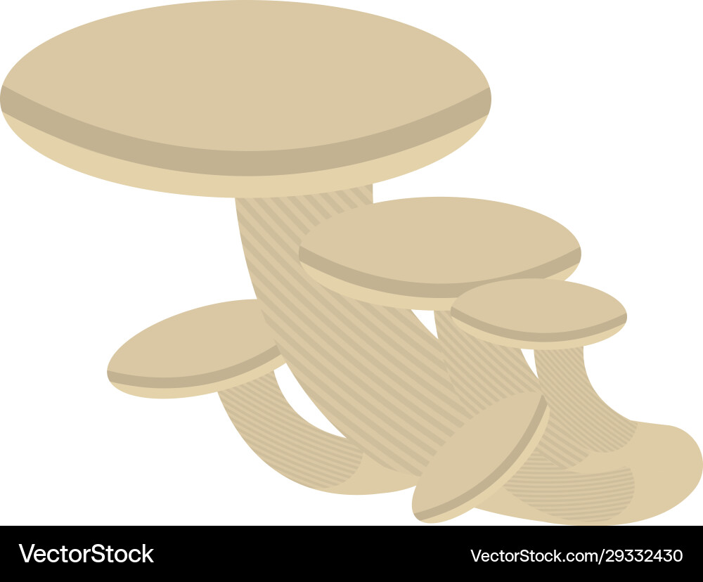 Flat agaric vector image