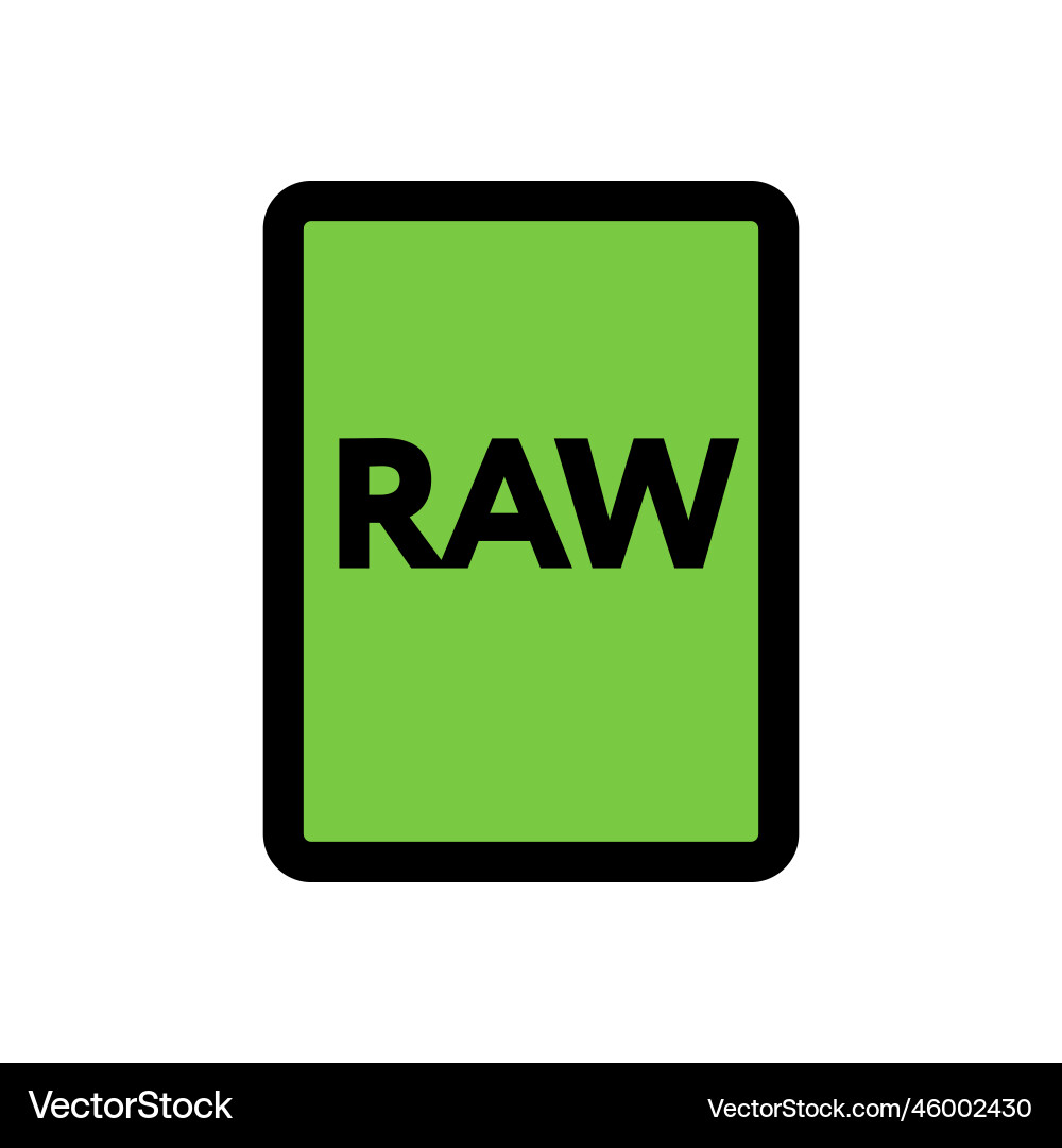 Raw file icon line isolated on white background Raw file icon line isolated on white background vector image