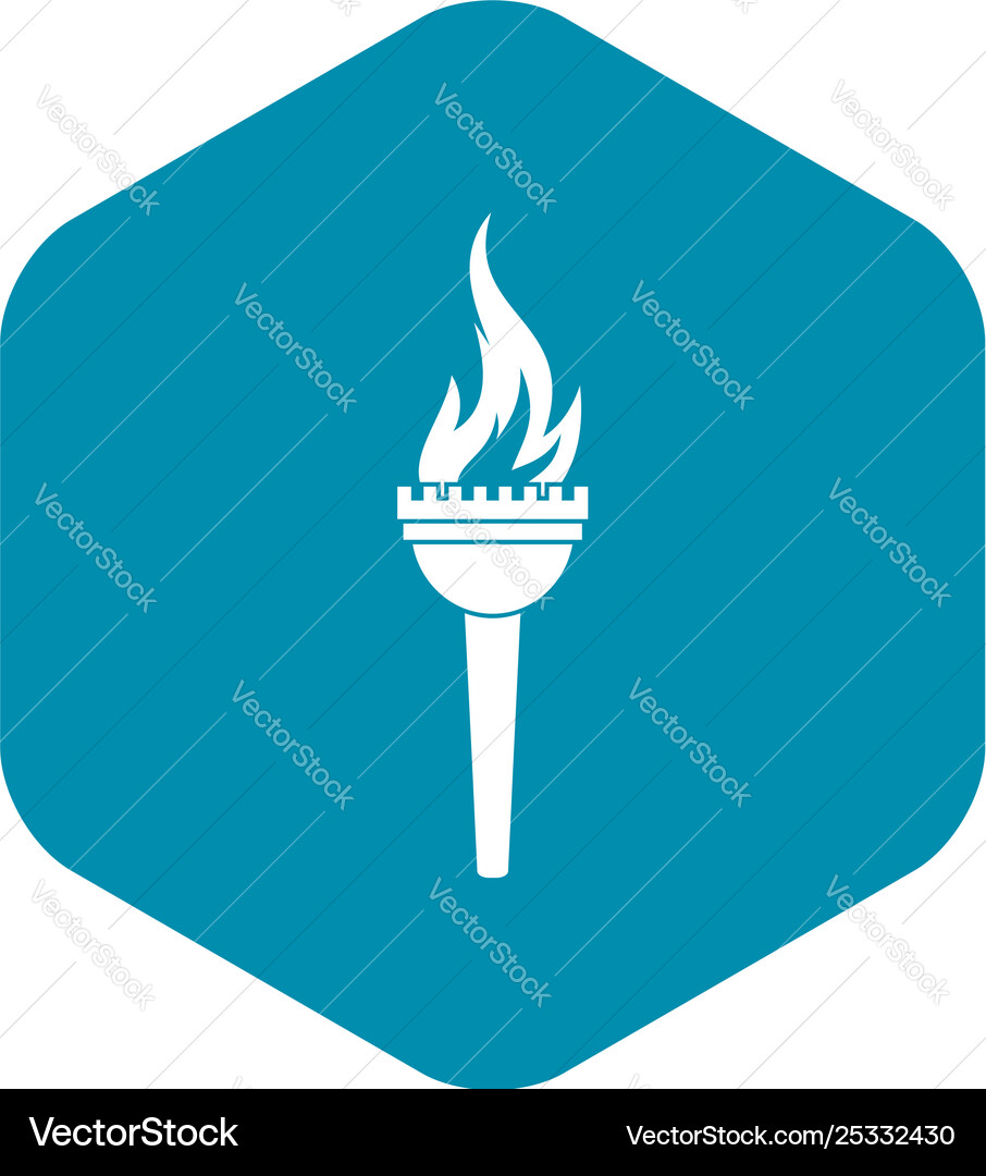 Torch icon simple style Vector Image