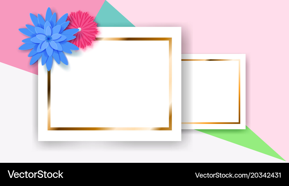 Background with rectangle frames and flowers vector image