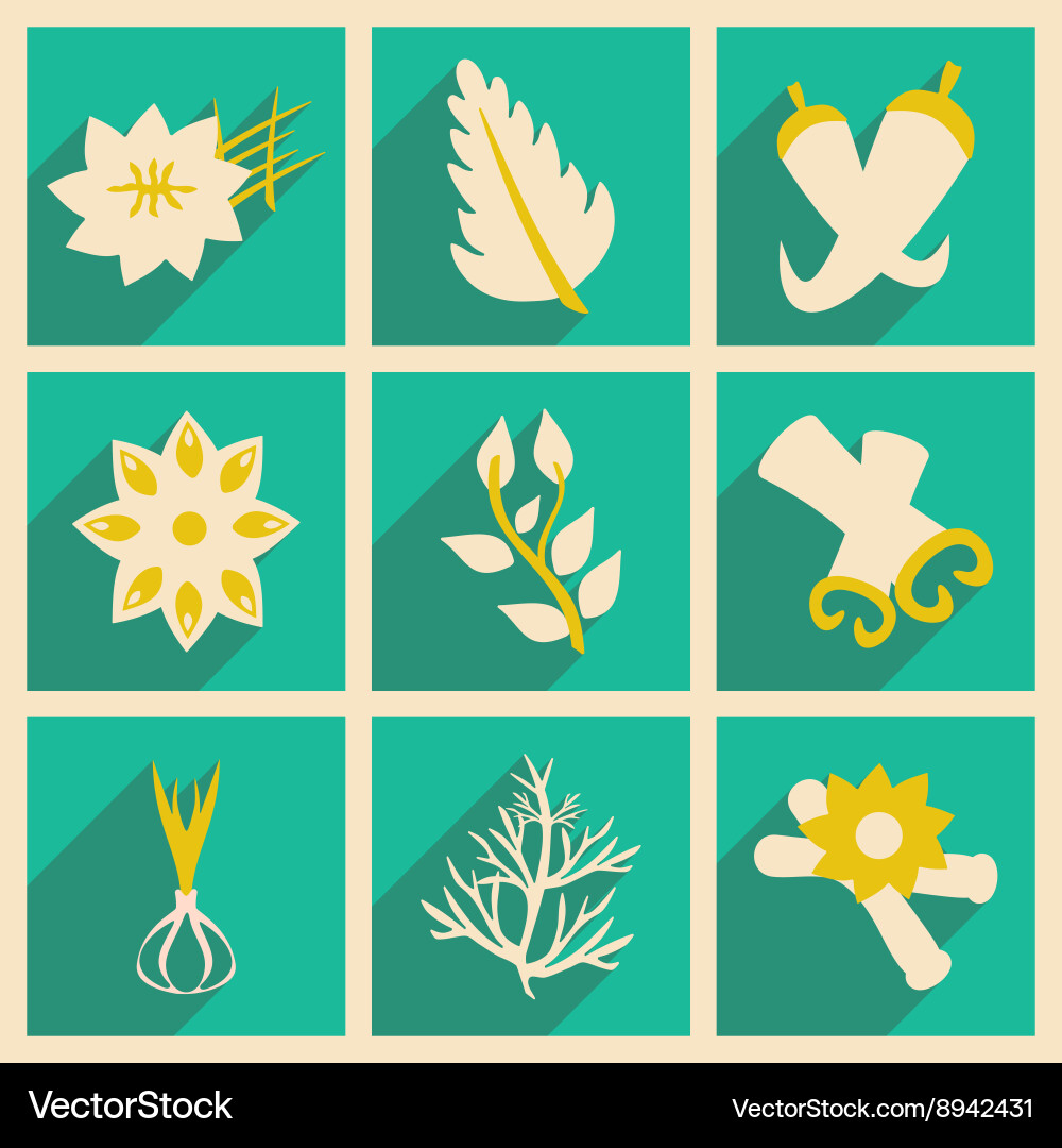 Flat with shadow concept and mobile application vector image