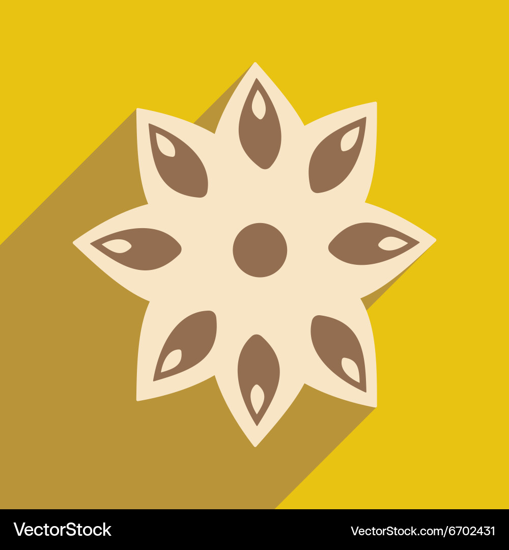 Flat with shadow icon and mobile application anise Vector Image