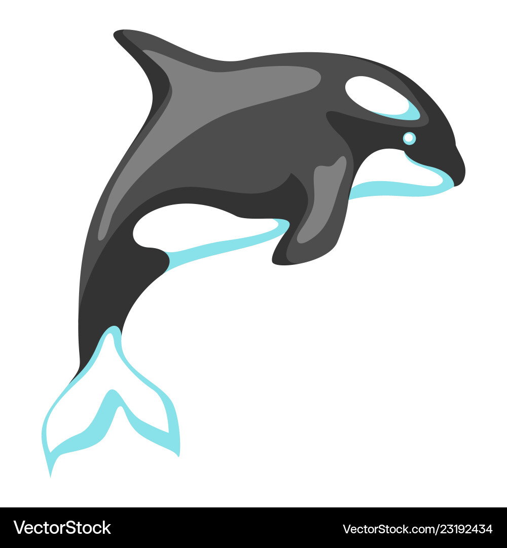 Black and white whale killer Black and white whale killer vector image