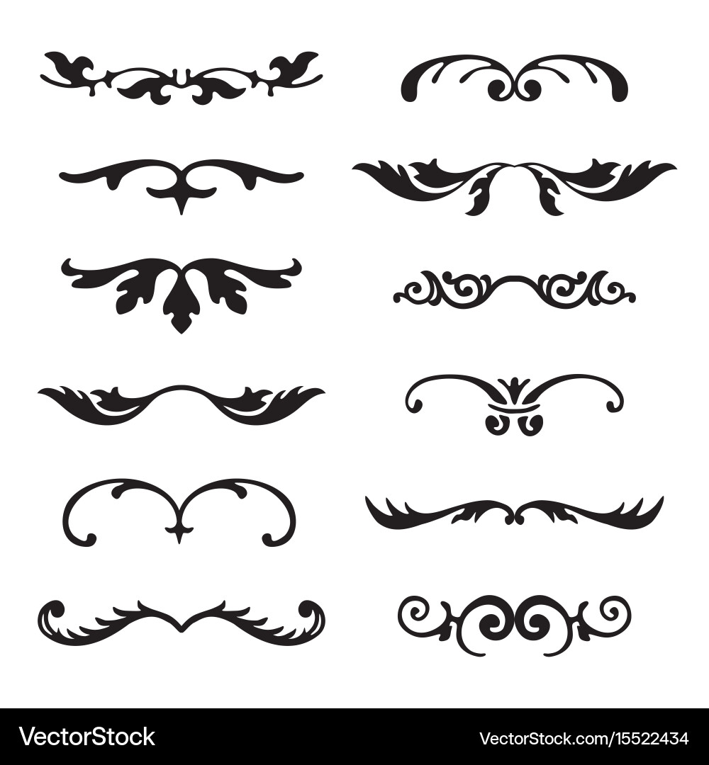 Elegant Calligraphic Flourishes vector image