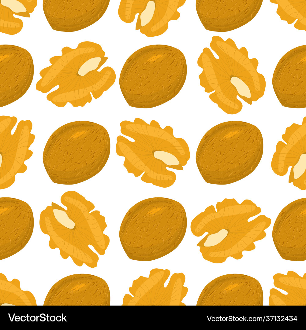 On theme big pattern identical types walnut On theme big pattern identical types walnut vector image