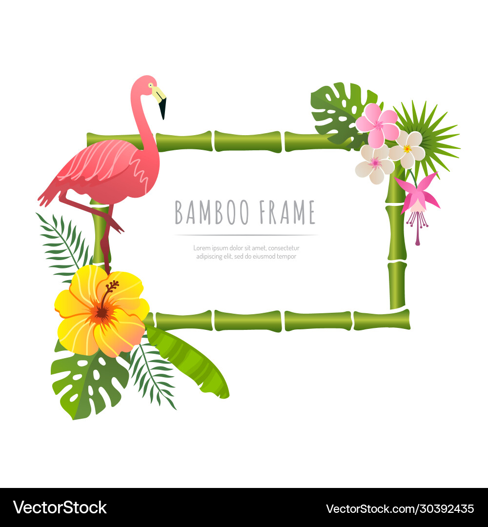 Rectangle bamboo frame with flamingo Rectangle bamboo frame with flamingo vector image