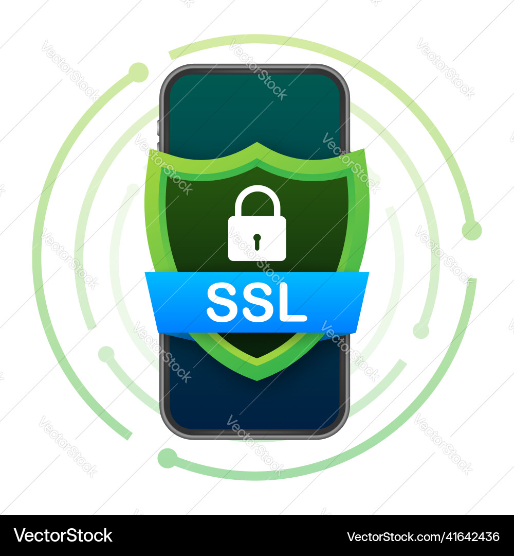 Secure internet connection ssl icon safe Secure internet connection ssl icon safe vector image